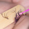 Lash Removal Service